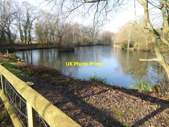 Photo 6"x4" Fishing lake with small island Albourne c2017