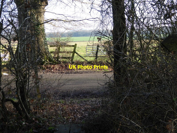 Photo 6"x4" Footpath reaches Blackstone Lane Woodmancote\/TQ2314 c2017