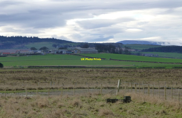 Photo 6"x4" Looking inland from the coast path Beal\/NU0642 c2017