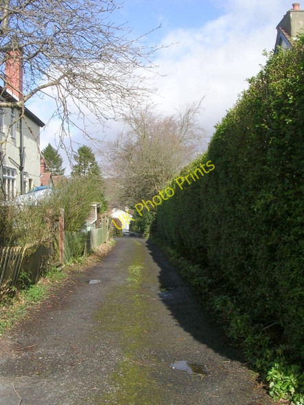 Photo 6"x4" Kings Avenue - Kings Road Ilkley c2009