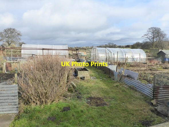 Photo 6"x4" Allotments at Bowes Bowes\/NY9913 c2017