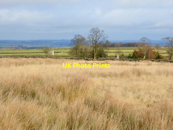 Photo 6"x4" Rough grazing north of Clint Lane Bowes\/NY9913 c2017