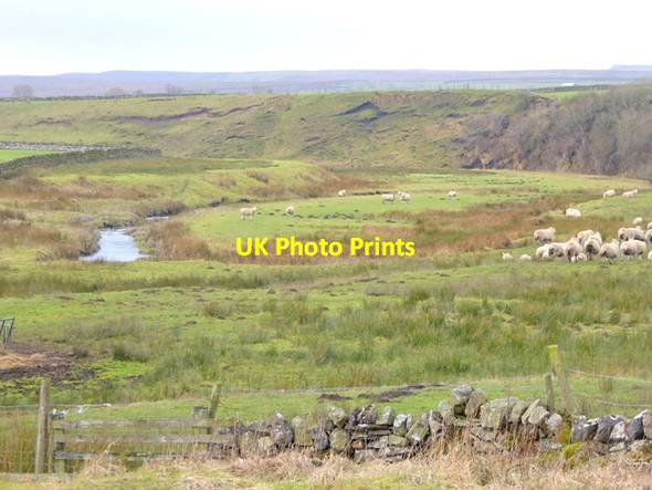 Photo 6"x4" Deepdale Beck Bowes\/NY9913 c2017