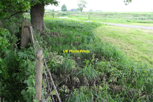 Photo 6"x4" Field opposite Lingy Hill woodland Arrathorne c2016