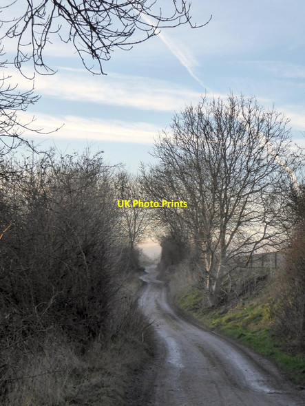 Photo 6"x4" Westward along the Ridgeway in January Aldworth c2017