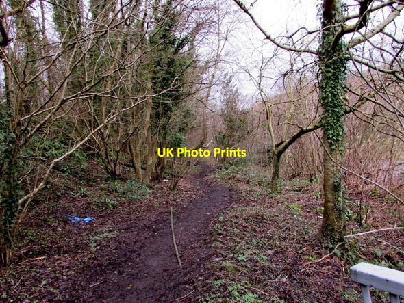Photo 6"x4" Muddy track above the Ebbw River, Risca Risca c2017