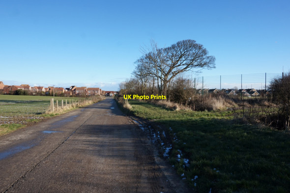 Photo 6"x4" Bridleway leading to Ashcourt Drive, Hornsea Hornsea c2017