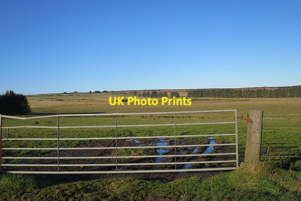 Photo 6"x4" Near Broadleys Ardlawhill c2017