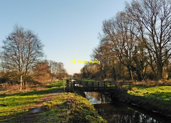 Photo 6"x4" Footbridge, Ham Wall RSPB Nature Reserve Ashcott Corner c2017