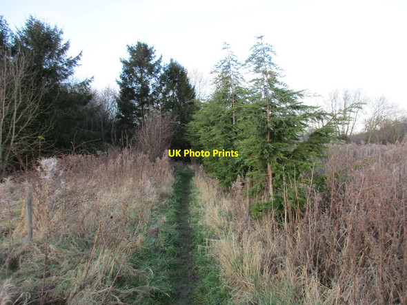 Photo 6"x4" Footpath to North Thoresby North Thoresby c2017