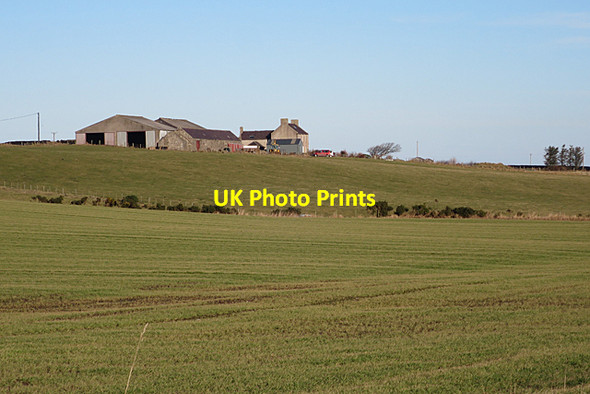 Photo 6"x4" Bonnytonhill Farm New Aberdour c2017