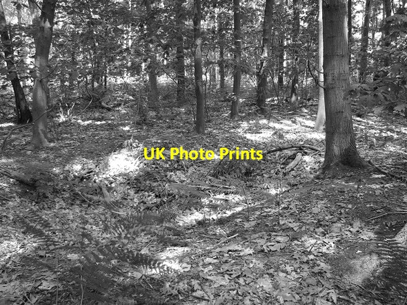 Photo 6"x4" Remains of a WW2 gun emplacement Fritton\/TG4600 c2011