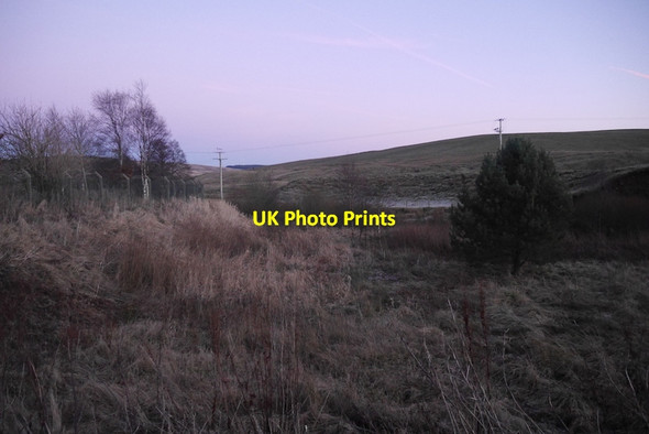 Photo 6"x4" Wetland beside the Douglas Water Glespin\/NS8028 c2017