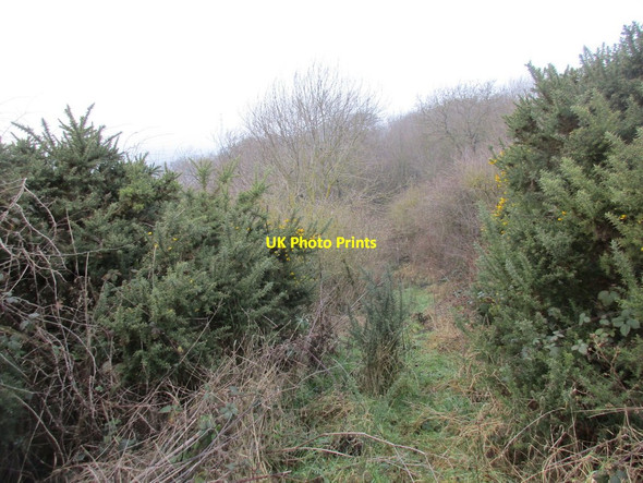 Photo 6"x4" Not an official path Burton Stather c2017
