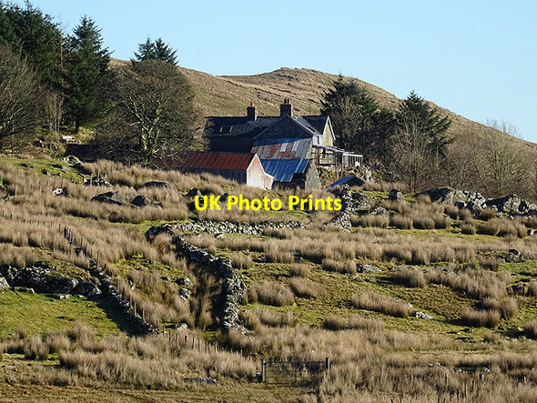 Photo 6"x4" Blaenlliw Isaf farm Blaen-Lliw c2017