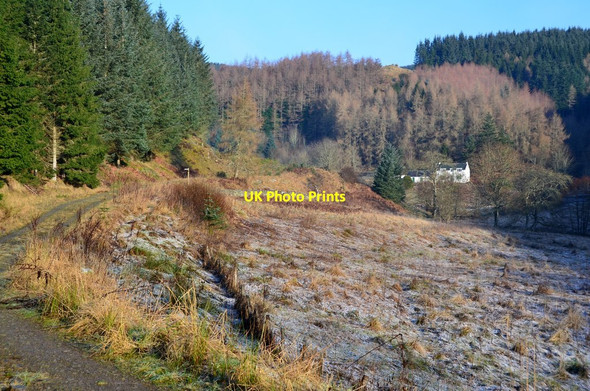 Photo 6"x4" The Soonhope valley, Shieldgreen Peebles\/NT2540 c2017
