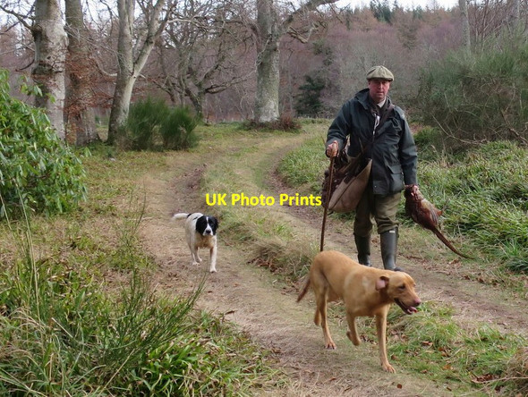 Photo 6"x4" Only two shooting days left.... Woodside\/NJ0555 c2017