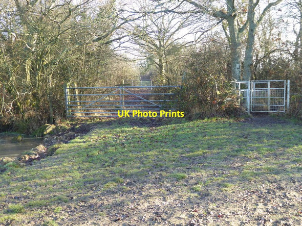 Photo 6"x4" Footpath reaches the Downs Link with frozen pond on left Nep Town c2017