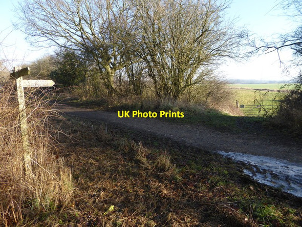Photo 6"x4" Footpath junction on the Downs Link Nep Town c2017