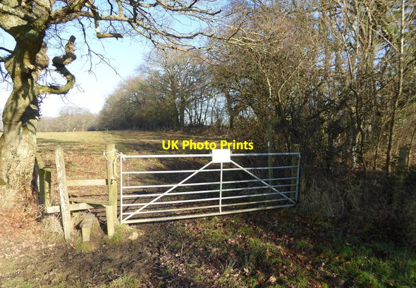 Photo 6"x4" Gate and stile on footpath to Lipride Farm Nep Town c2017