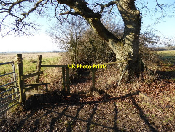 Photo 6"x4" Gate and stile at field boundary south of Lipride Farm Nep Town c2017