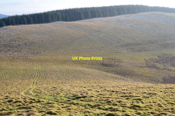 Photo 6"x4" Track on South Knowe Mailingsland c2017
