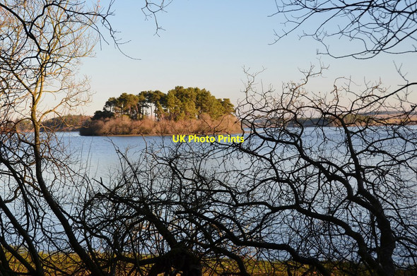 Photo 6"x4" Gladhouse Reservoir Tweeddaleburn\/NT2752 c2017