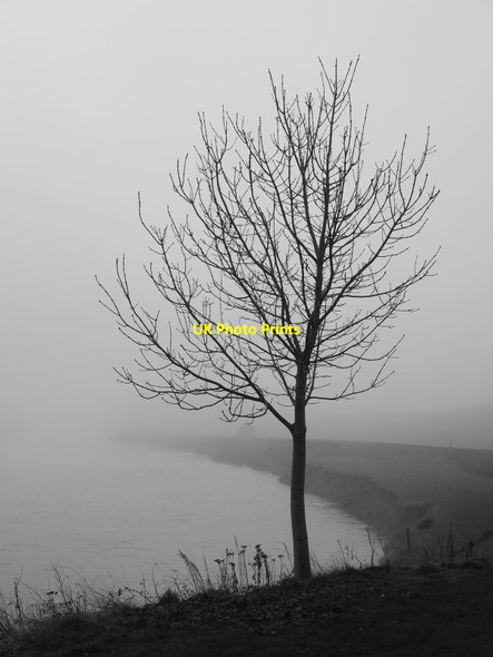 Photo 6"x4" The Foggy Tweed Ladykirk\/NT8847 c2017
