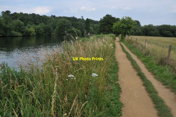 Photo 6"x4" The Thames Path Reading c2011