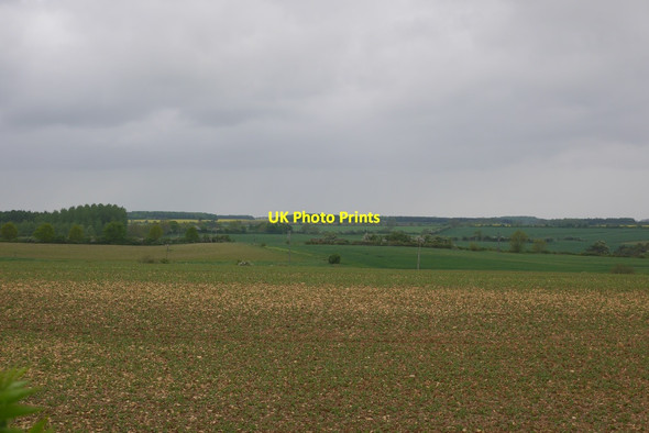 Photo 6"x4" Field beside Crabtree Road Skillington c2016