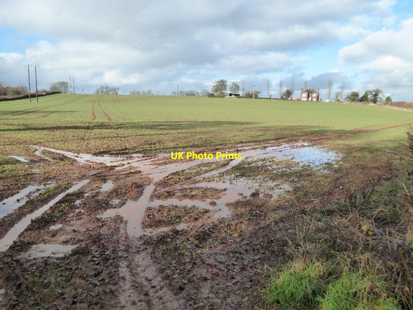Photo 6"x4" Arable land opposite Rhea Farm Ledbury c2017