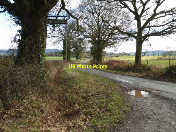Photo 6"x4" Country road at Munsley Green Swinmore Common c2017