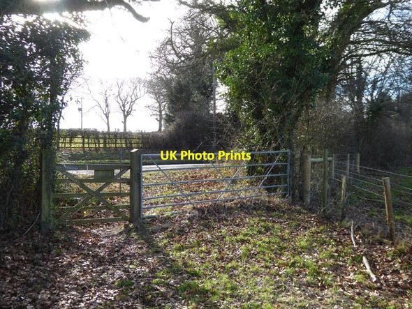 Photo 6"x4" Bridleway reaches Horn Lane Woodmancote\/TQ2314 c2017