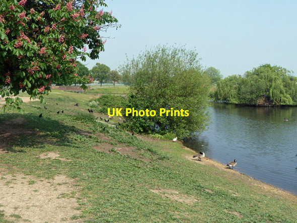 Photo 6"x4" In Mayesbrook Park Barking\/TQ4484 c2011