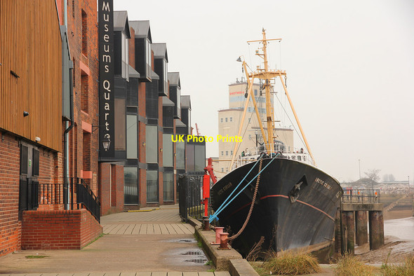 Photo 6"x4" Arctic Corsair Kingston upon Hull c2017