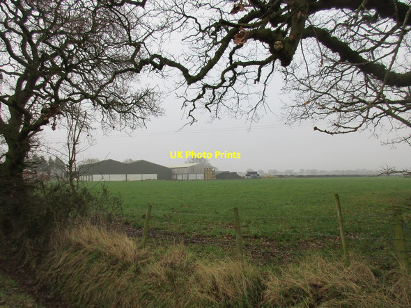 Photo 6"x4" Springfield Farm East Cottingwith c2017
