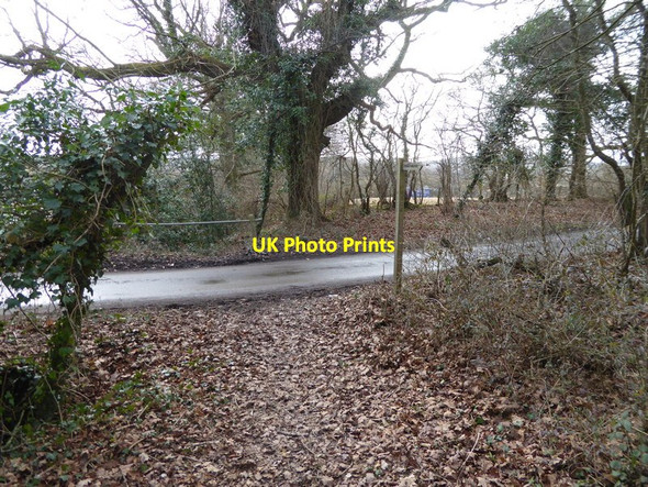 Photo 6"x4" Footpath approaches Bramlands Lane Woodmancote\/TQ2314 c2017