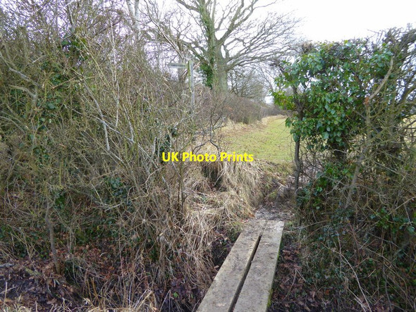 Photo 6"x4" Footpath crosses plank bridge and turns left Woodmancote\/TQ2314 c2017