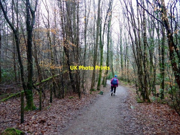 Photo 6"x4" Heading anti-clockwise round Derwent Water Keswick\/NY2623 c2017