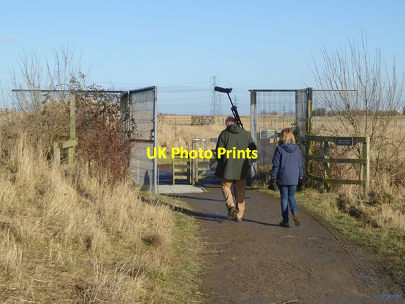 Photo 6"x4" Birdwatchers on the move Haverton Hill c2017