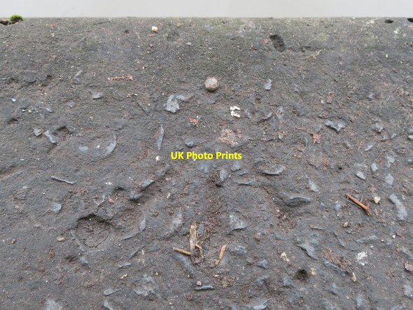 Photo 6"x4" A rivet bench mark on the Shropshire Union Canal towpath Chester c2017