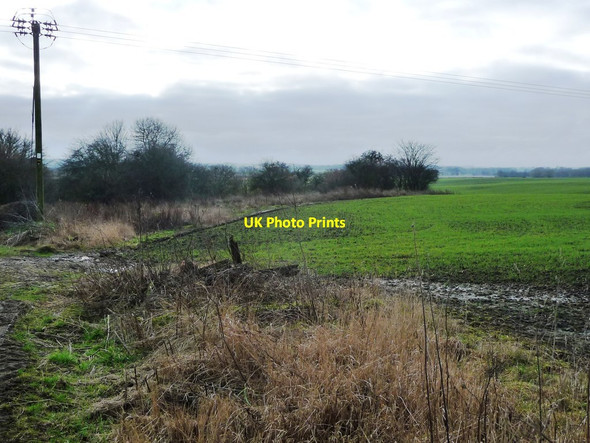 Photo 6"x4" Patch of scrubland, south of Wighill Lane Wighill c2017