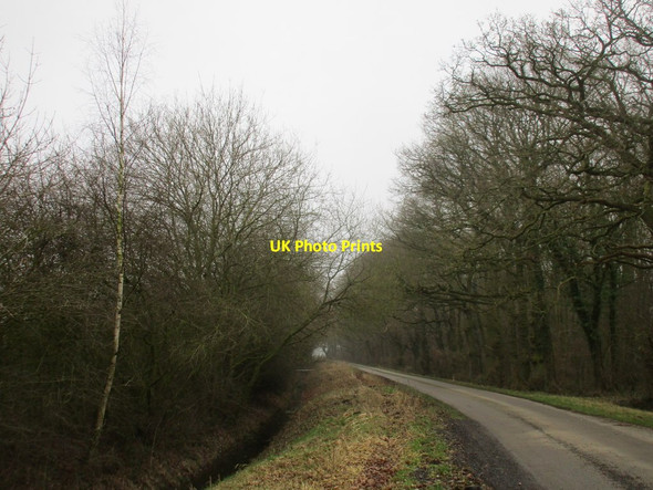 Photo 6"x4" Long Lane Aughton\/SE7038 c2017