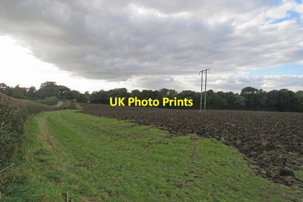 Photo 6"x4" Field alongside Gibson's Lane Old Dalby c2016