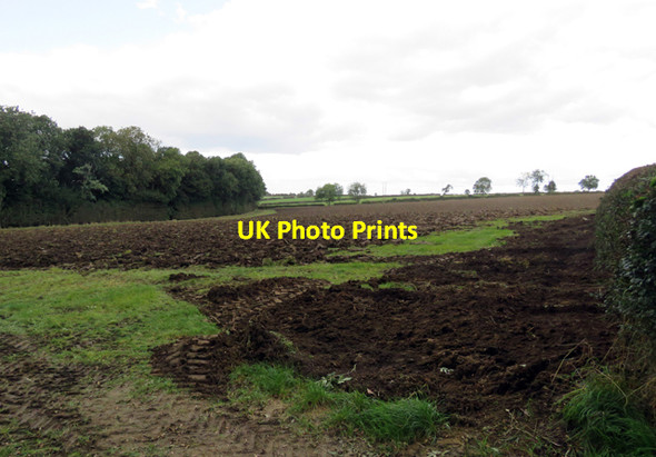 Photo 6"x4" Field north of Gibson's Lane Old Dalby c2016