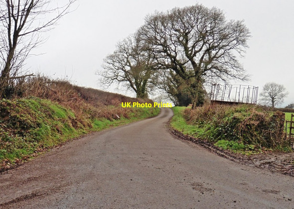 Photo 6"x4" Downash Lane Hawkchurch c2017