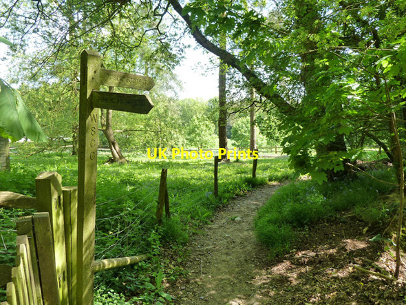 Photo 6"x4" Footpath 1396, Rudgwick Cox Green\/TQ0934 c2011