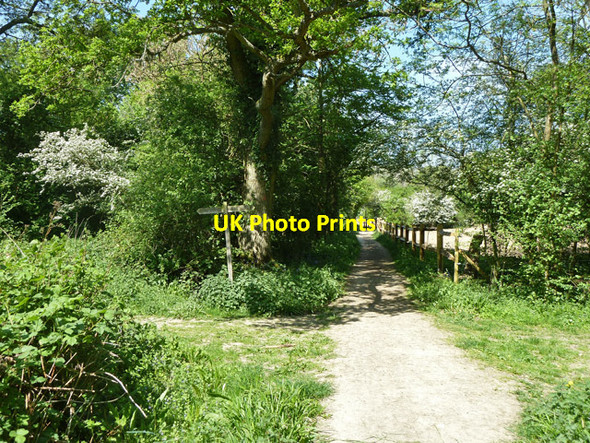 Photo 6"x4" Path junction near Godley's Cottage Cox Green\/TQ0934 c2011