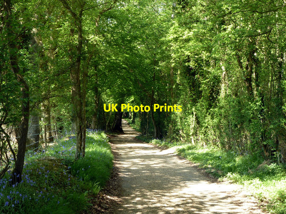 Photo 6"x4" Bridleway towards Cox Green Cox Green\/TQ0934 c2011