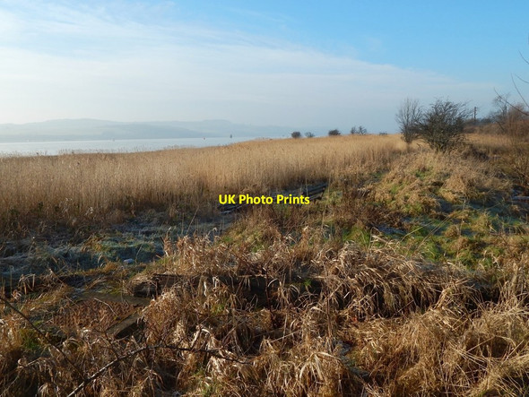 Photo 6"x4" Beside the shore at Milton Dumbarton c2017